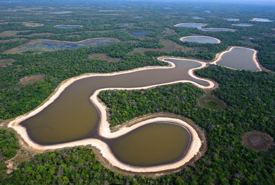 Projetos - SOS Pantanal