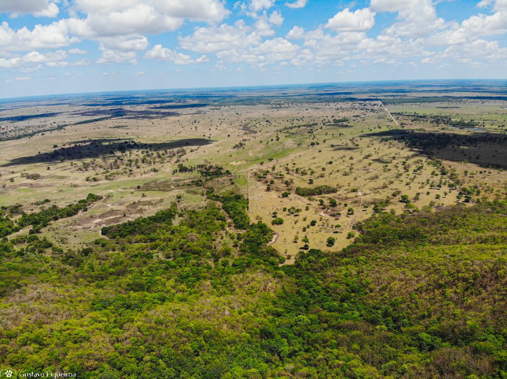 Expedição Pantanal 2019 - SOS Pantanal