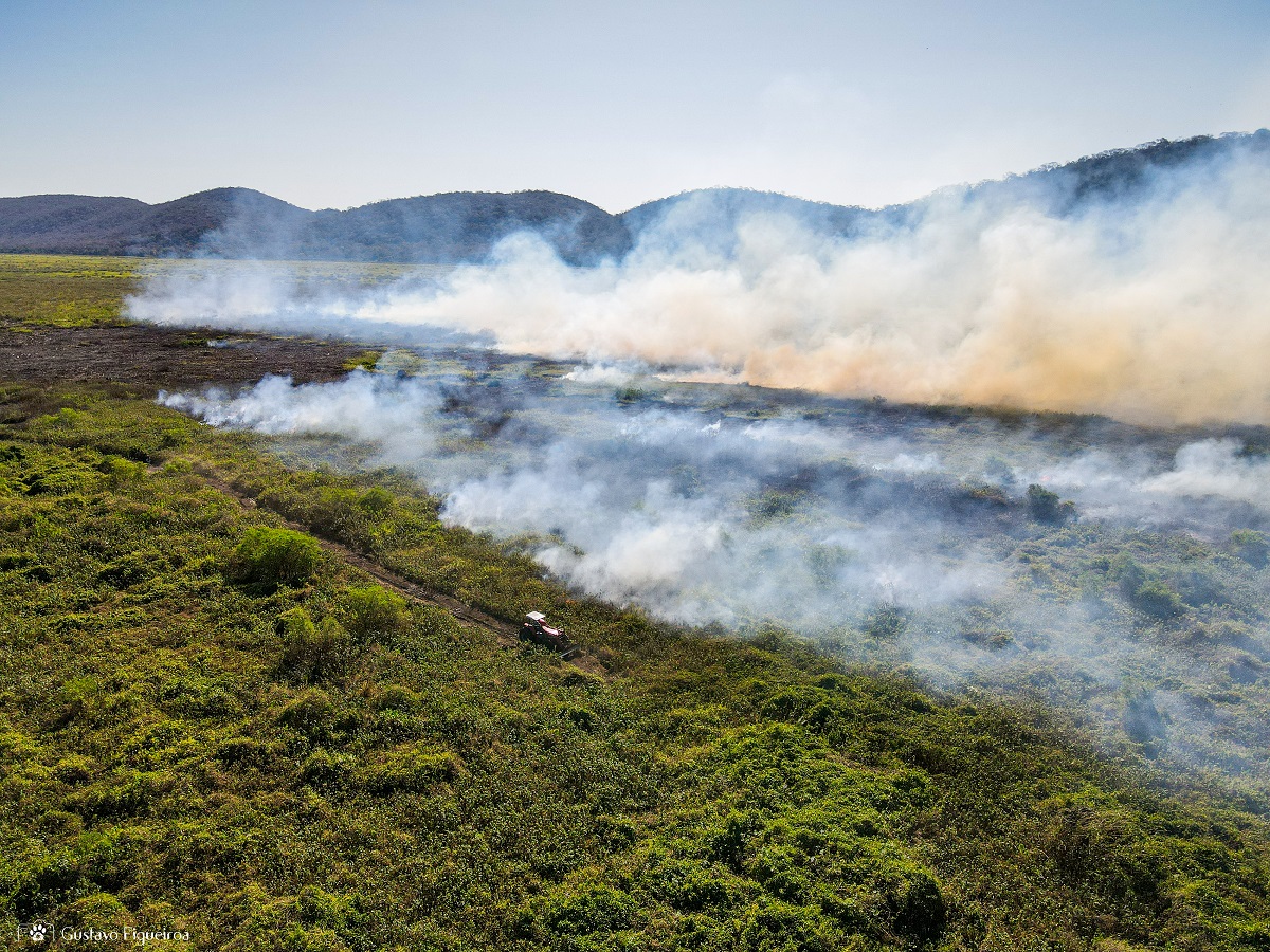 SOS PANTANAL Incêndios no Pantanal: situação tende a se agravar ainda mais em 2024, dizem especialistas