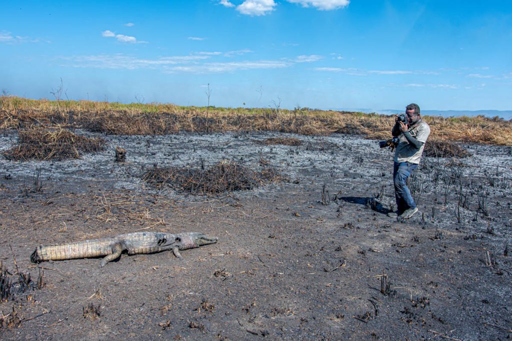 Fogo Pantanal - Junho 24 (14 de 14)