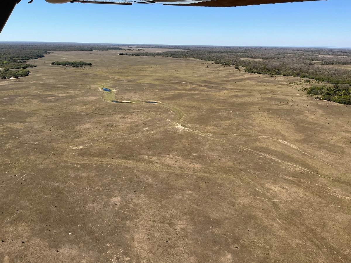 SOS PANTANAL Pantanal passa dos 2 milhões de hectares consumidos pelos incêndios