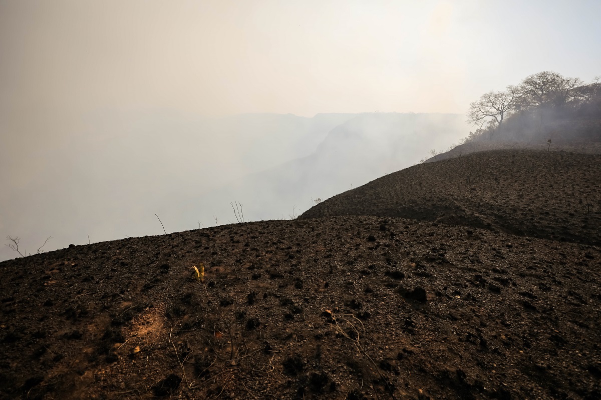 SOS PANTANAL Incêndios no Pantanal aumentam internações por doenças respiratórias, aponta estudo