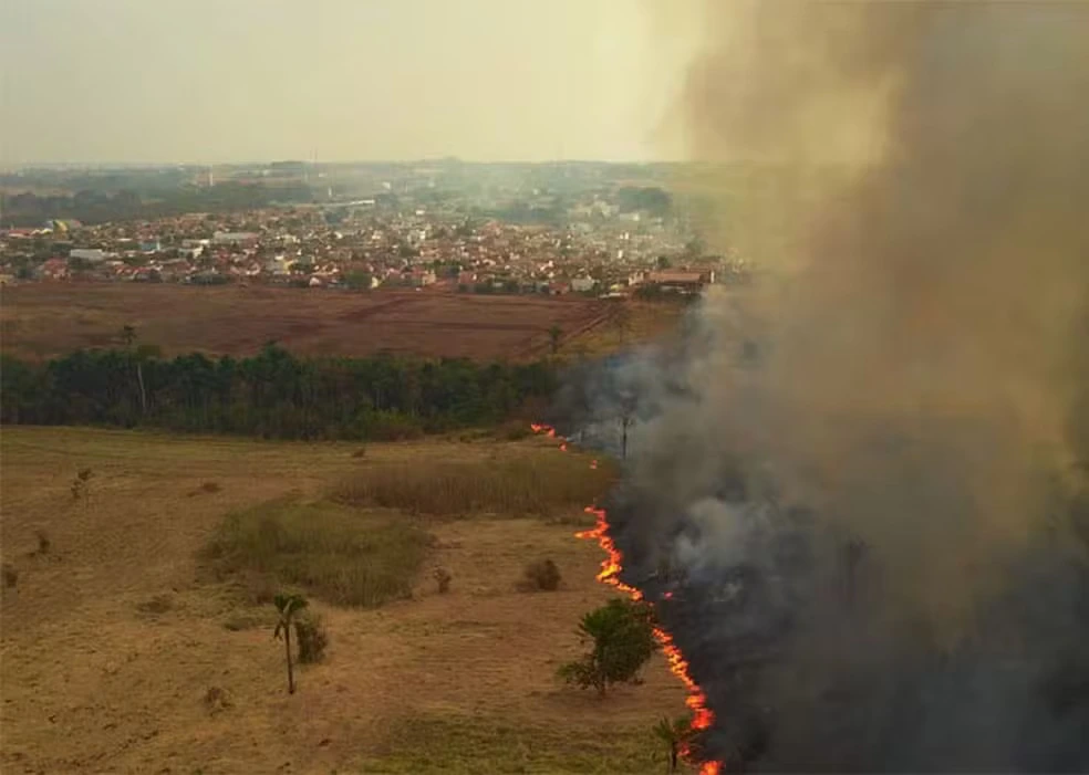 SOS PANTANAL Incêndios no Pantanal aumentam internações por doenças respiratórias, aponta estudo