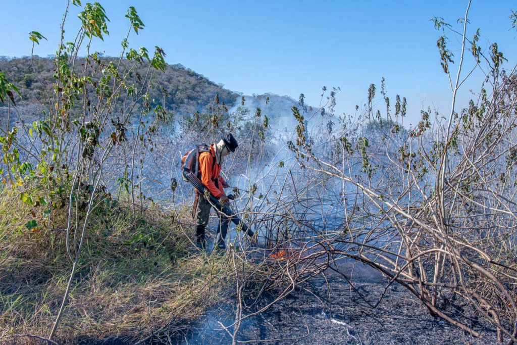 Fogo-Pantanal-Junho-24-2-de-14