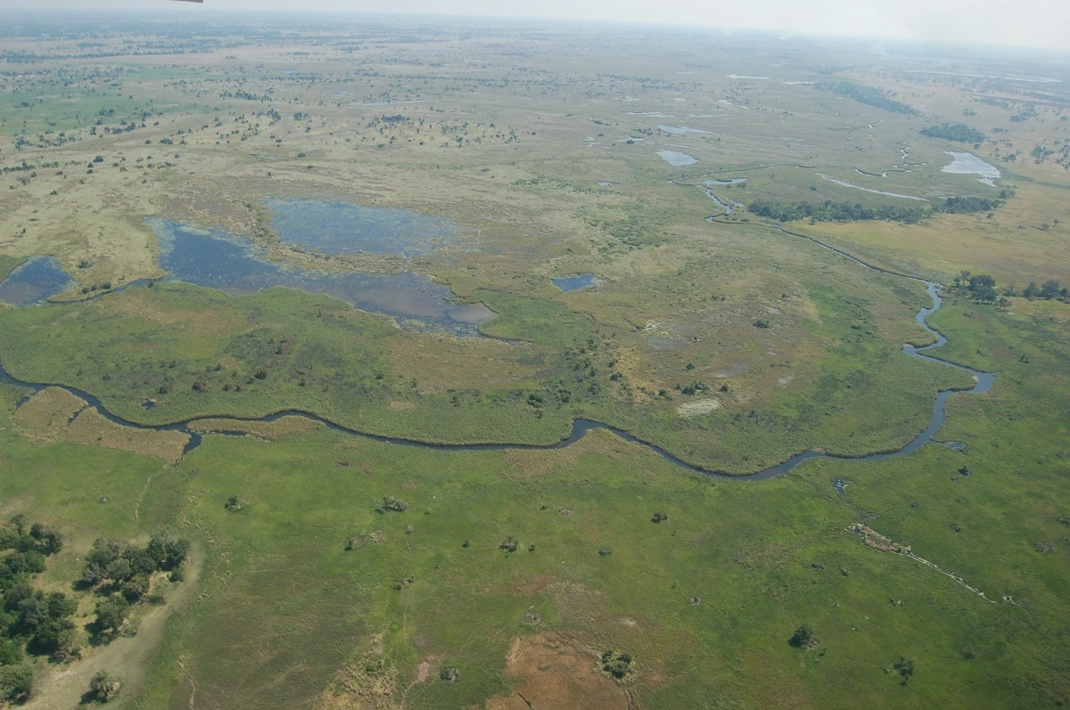 SOS PANTANAL Dia Mundial das Áreas Úmidas e os Sítios Ramsar: entenda o que é e qual sua importância