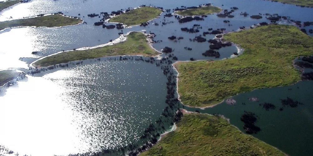 SOS PANTANAL Dia Mundial das Áreas Úmidas e os Sítios Ramsar: entenda o que é e qual sua importância