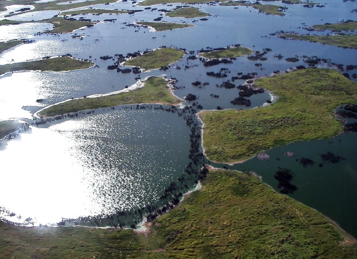 SOS PANTANAL Dia Mundial das Áreas Úmidas e os Sítios Ramsar: entenda o que é e qual sua importância