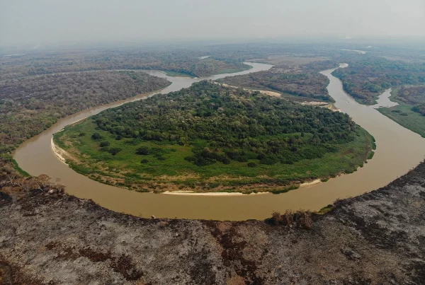 SOS PANTANAL Seca no Pantanal: a nova realidade da maior planície alagável do planeta