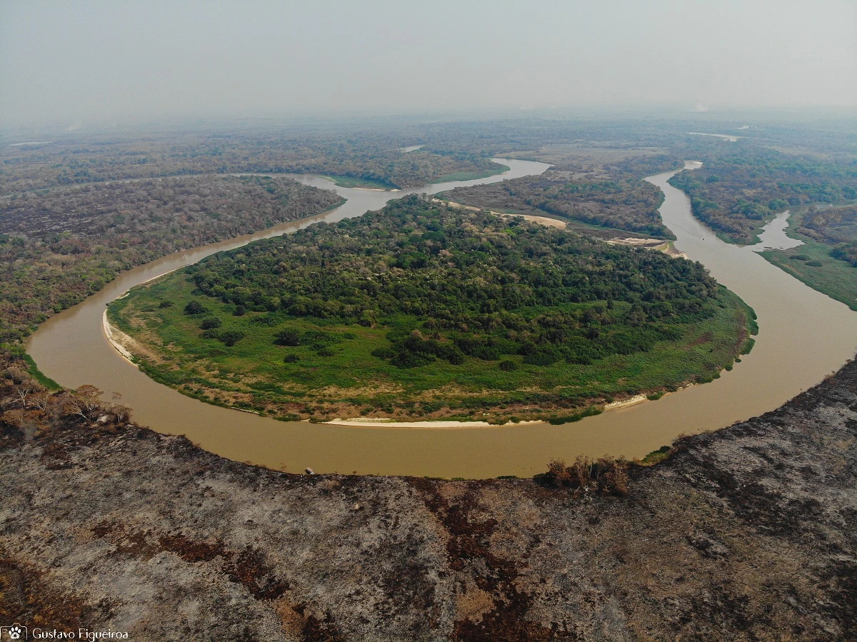 SOS PANTANAL Seca no Pantanal: a nova realidade da maior planície alagável do planeta