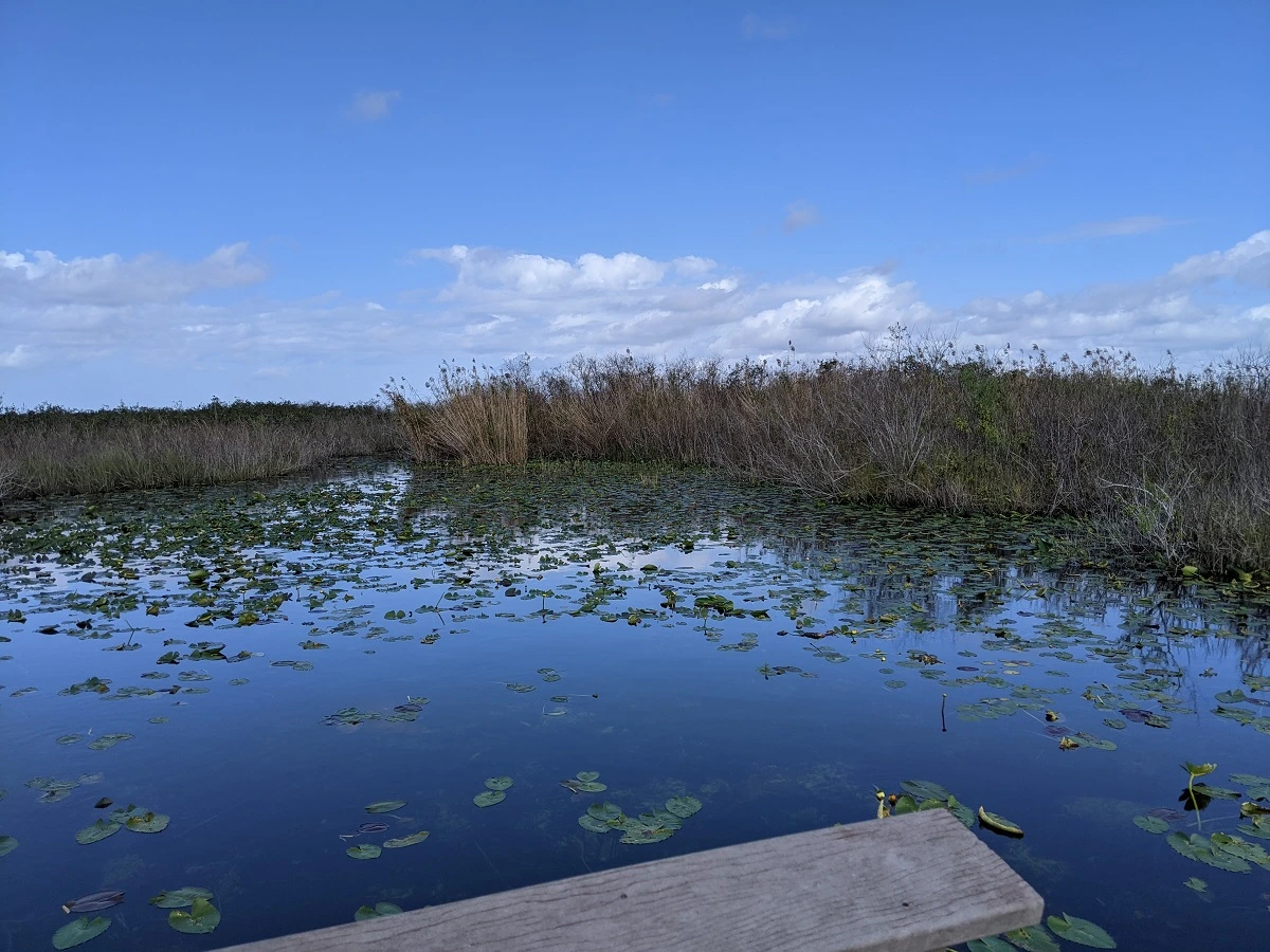 SOS PANTANAL Dia Mundial das Áreas Úmidas e os Sítios Ramsar: entenda o que é e qual sua importância