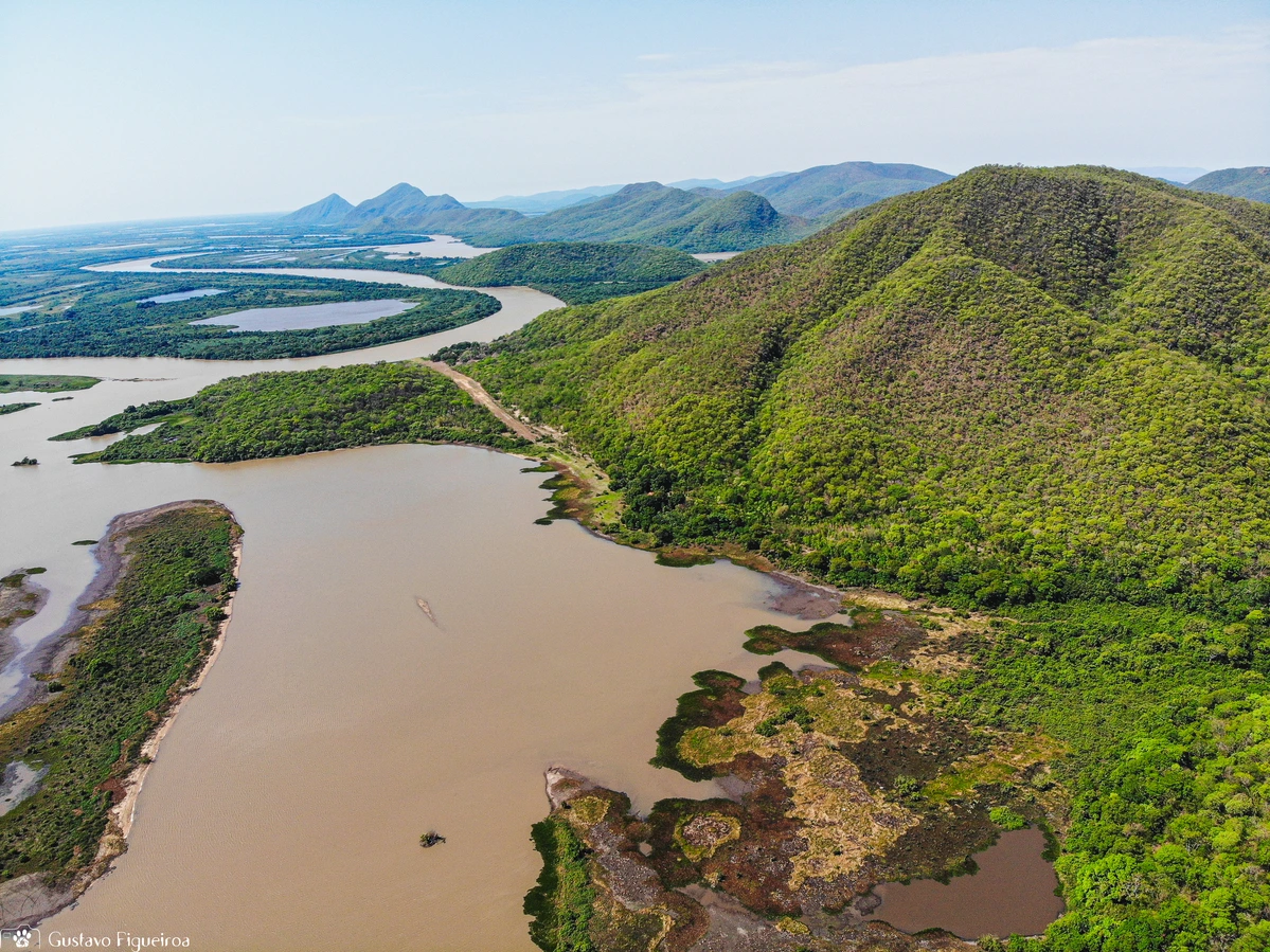 SOS PANTANAL O Pulso de Inundação e as decoadas no Bioma Pantanal