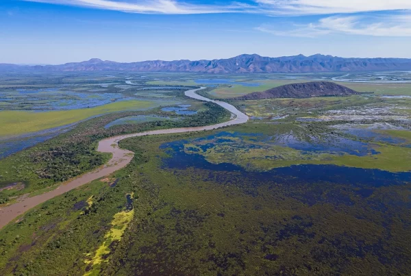 SOS PANTANAL Bacia Hidrográfica do Alto Paraguai: qual sua ligação com o Pantanal?