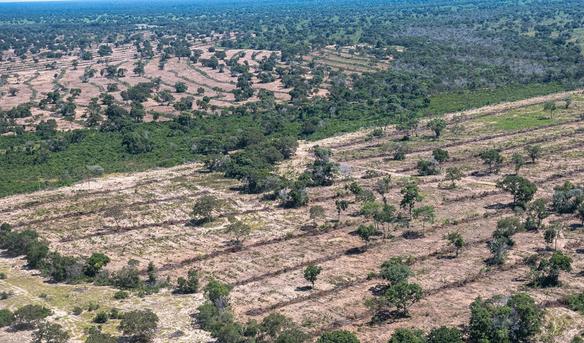 SOS PANTANAL Crise hídrica e o Pantanal