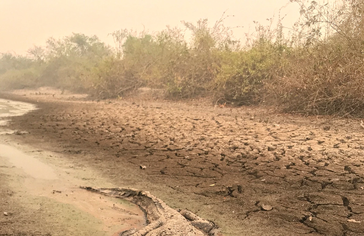 SOS PANTANAL Crise hídrica e o Pantanal