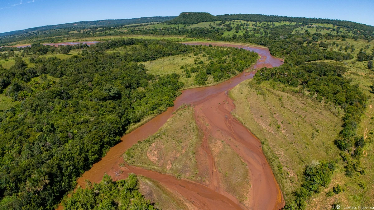 SOS PANTANAL Caminhos das Nascentes: conheça o projeto que recupera nossas águas
