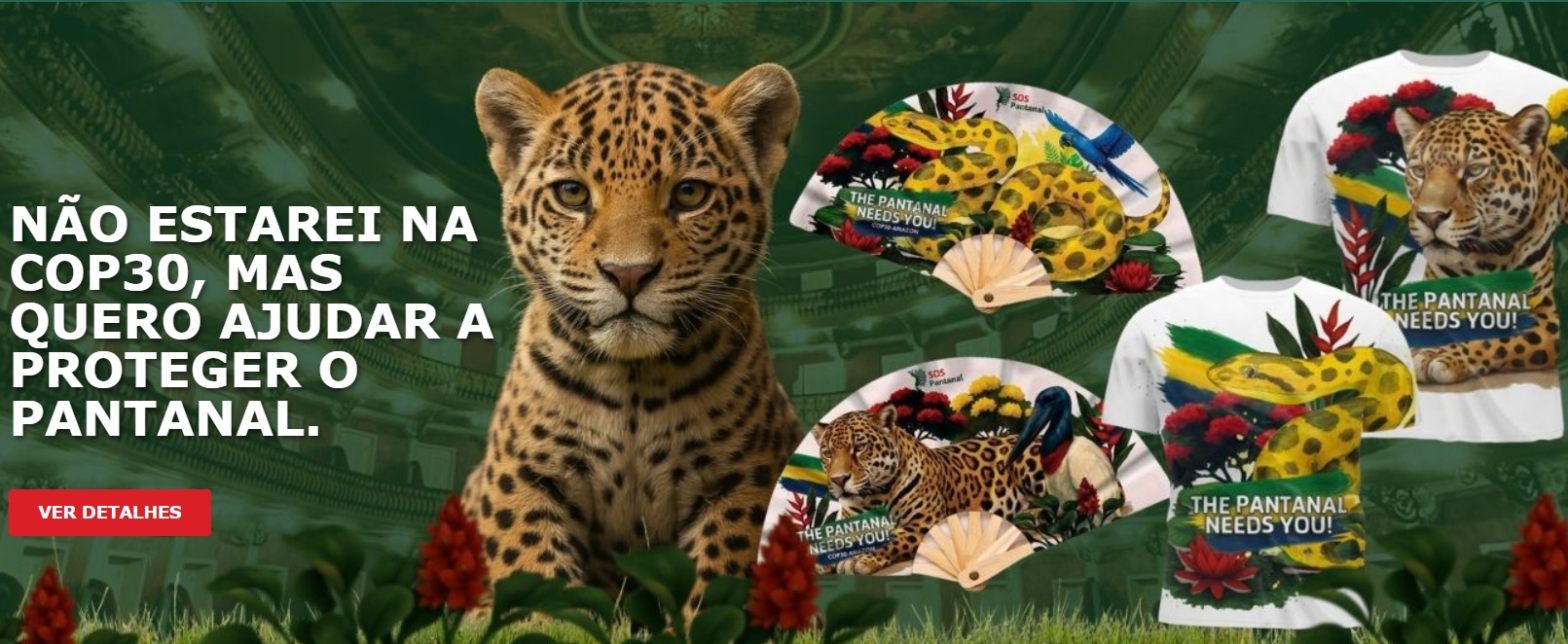 SOS PANTANAL Não vai à COP? Saiba como ajudar