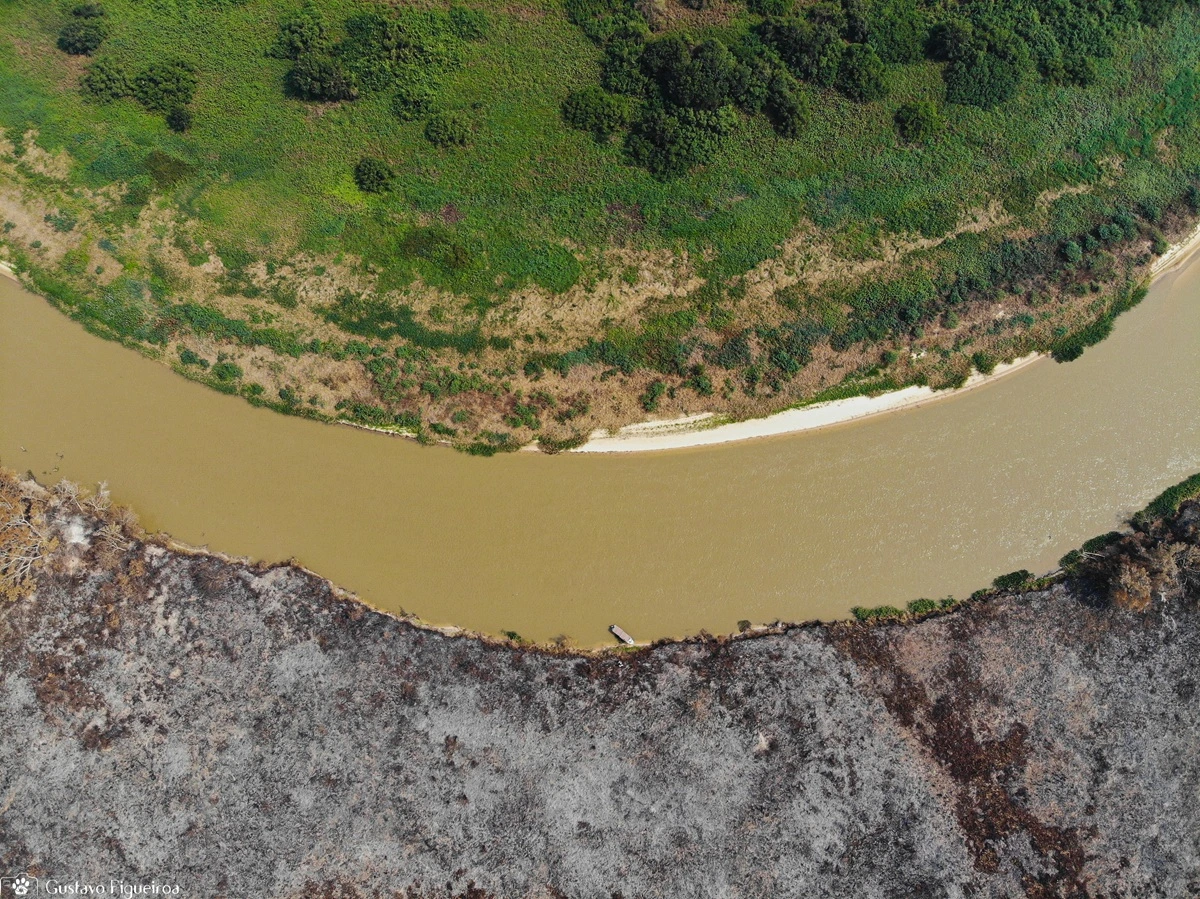 SOS PANTANAL Chuvas abaixo do esperado elevam risco de seca e incêndios em 2026 no Pantanal