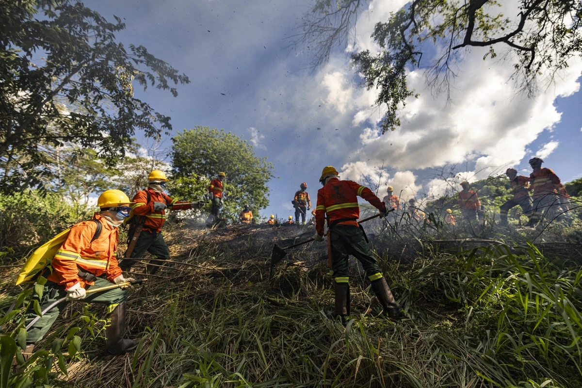 SOS PANTANAL Povos indígenas são protagonistas na prevenção e no combate aos incêndios