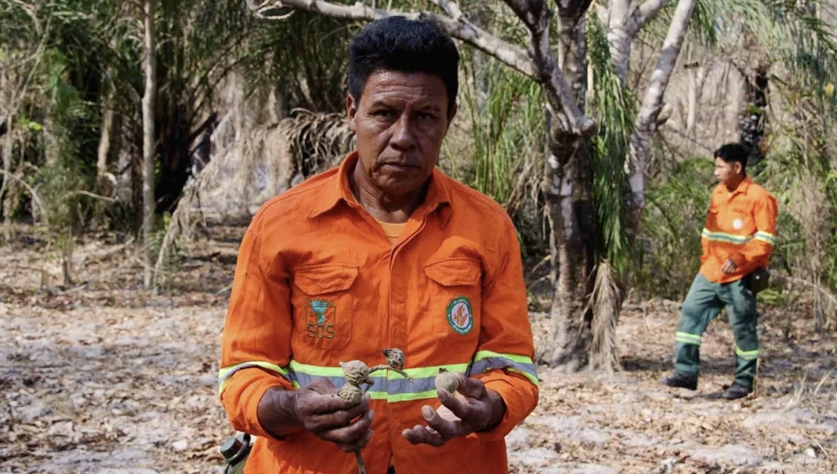 SOS PANTANAL Povos indígenas são protagonistas na prevenção e no combate aos incêndios