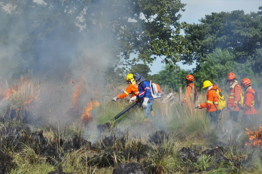 SOS PANTANAL 5 legislações sobre uso do fogo