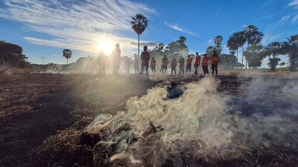 SOS PANTANAL Manejo Integrado do Fogo o que é e como funciona