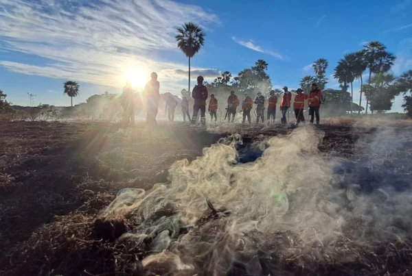 SOS PANTANAL Manejo Integrado do Fogo o que é e como funciona