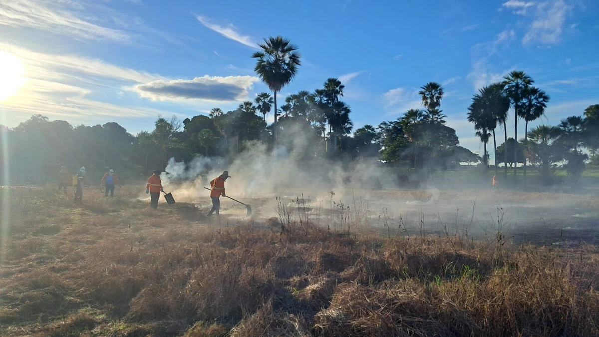 SOS PANTANAL Manejo Integrado do Fogo o que é e como funciona